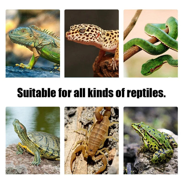 Terrarium Reptiler firfisle Varme Matte Klatring Kjæledyr Oppvarming Varmeputer Intelligent Justerbar Temperaturkontroller Matter 110v/220v | Luvikno