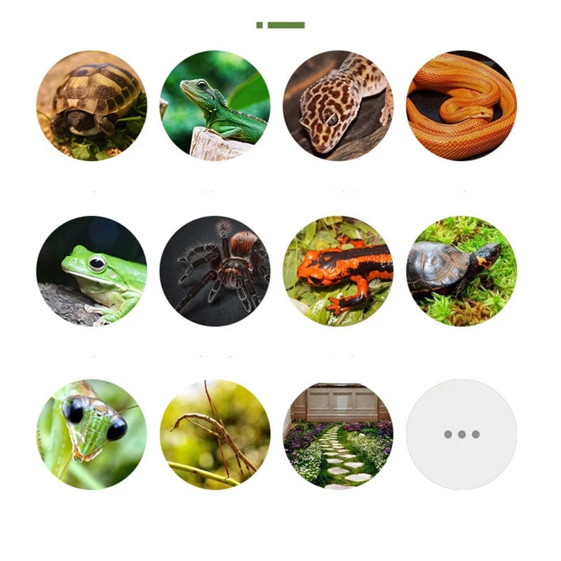 Tyk dobbel lag reptilkjæledyr mose teppemateriale frosk skilpadde slange gecko matter fuktighetsgivende falsk plen | Luvikno