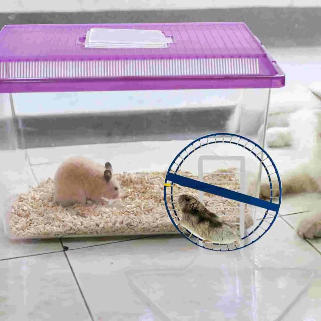 Metal Braketter Løpehjul Støtte Hamster Syrisk Trening Hvit Jern Lite Kjæledyr Stativ | Luvikno