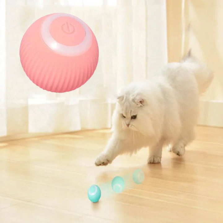 Interaktiv katt lekeball Luvikno