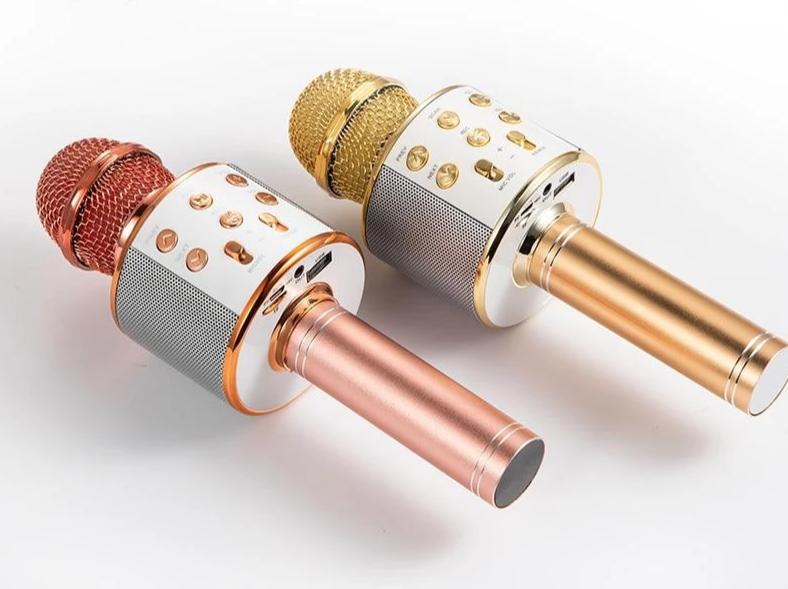 Nolae - Bluetooth Karaoke Mikrofon | Luvikno