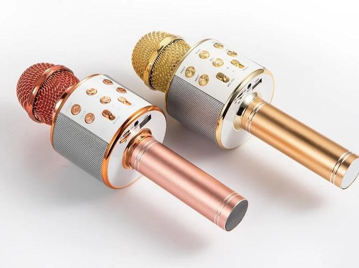 Nolae - Bluetooth Karaoke Mikrofon | Luvikno
