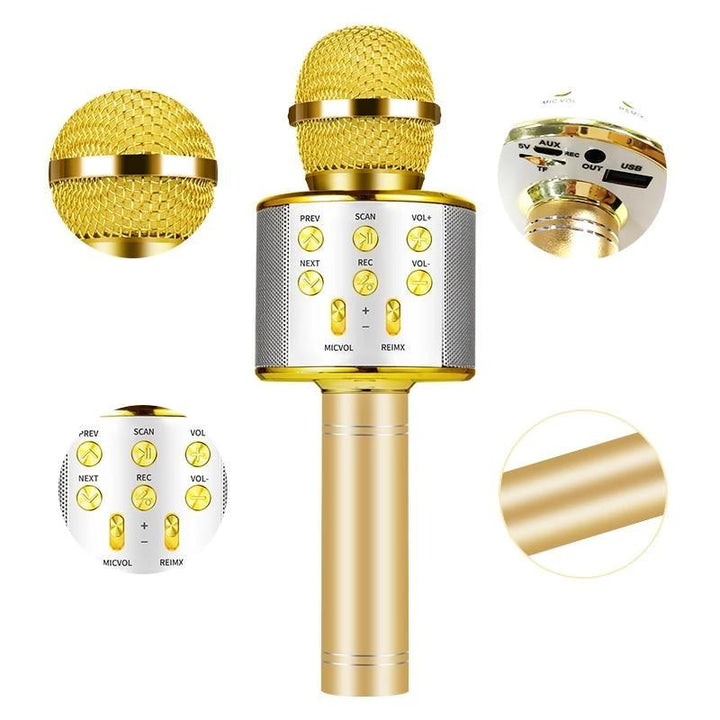 Nolae - Bluetooth Karaoke Mikrofon | Luvikno