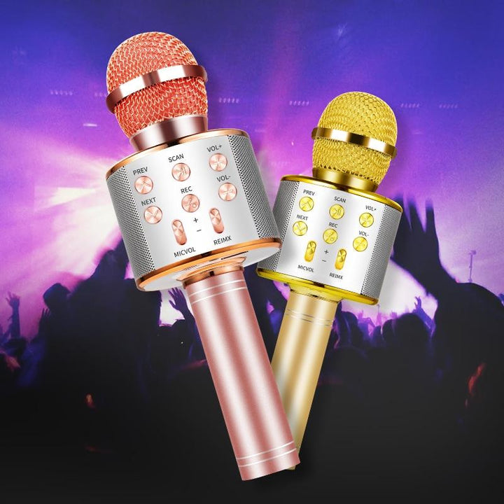Nolae - Bluetooth Karaoke Mikrofon | Luvikno