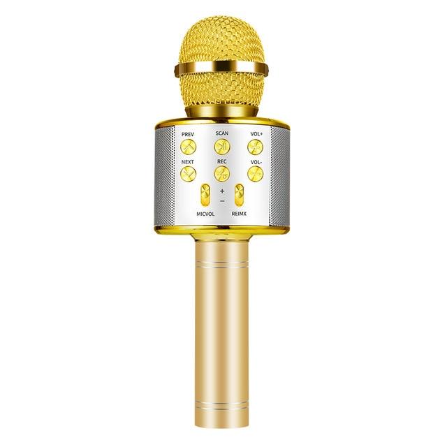 Nolae - Bluetooth Karaoke Mikrofon | Luvikno
