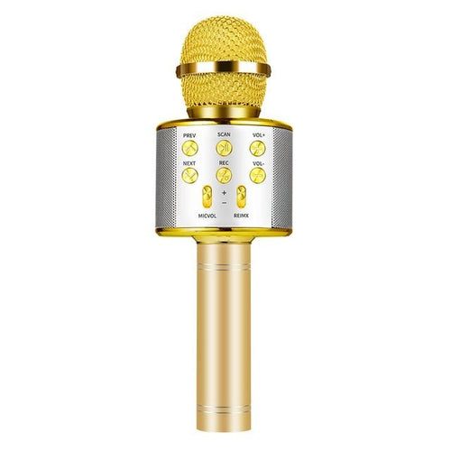 Nolae - Bluetooth Karaoke Mikrofon | Luvikno