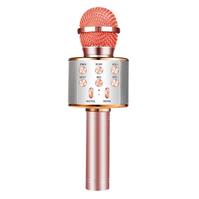 Nolae - Bluetooth Karaoke Mikrofon | Luvikno