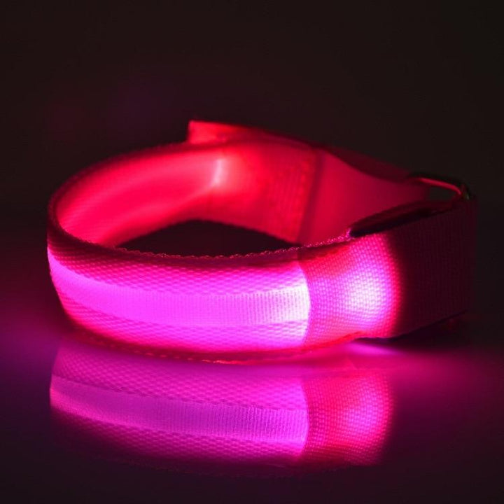 LightUp - Glødende LED Sport Band | Luvikno