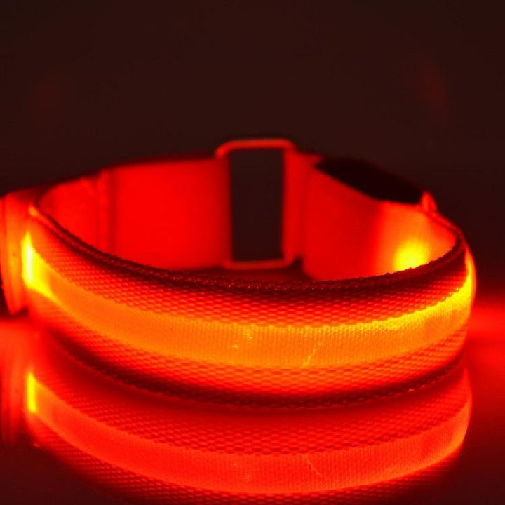 LightUp - Glødende LED Sport Band | Luvikno