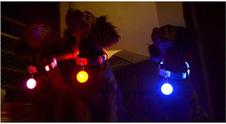 LED Flash Hundehalsbånd Pendant | Luvikno