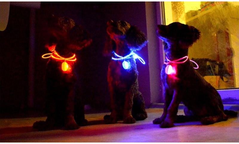 LED Flash Hundehalsbånd Pendant | Luvikno