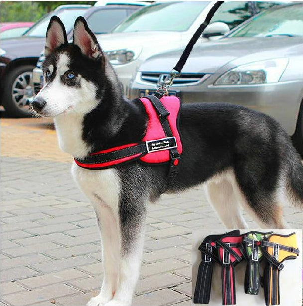 Hundegåingsele | Luvikno