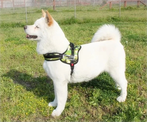 Hundegåingsele | Luvikno