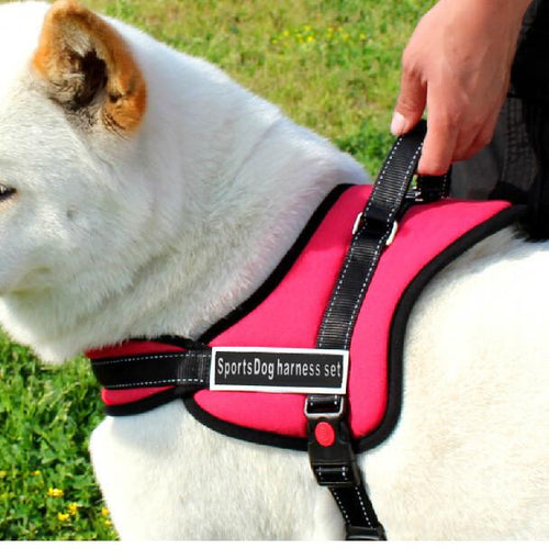 Hundeturgjengersele | Luvikno