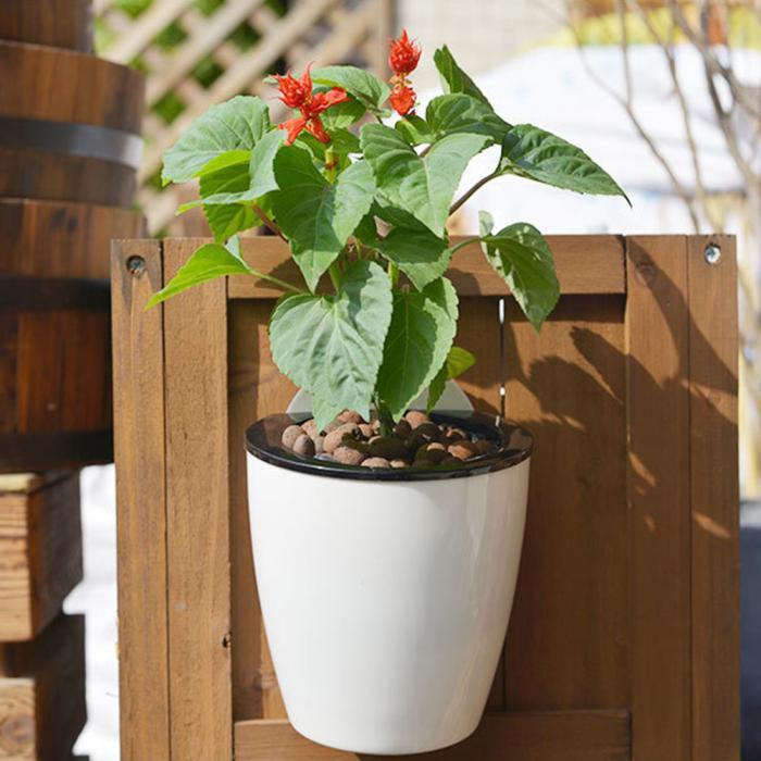 InstanWater - Selv vanning hengende planter | Luvikno