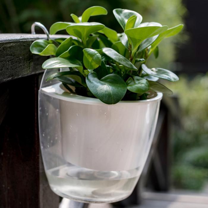 InstanWater - Selv vanning hengende planter | Luvikno