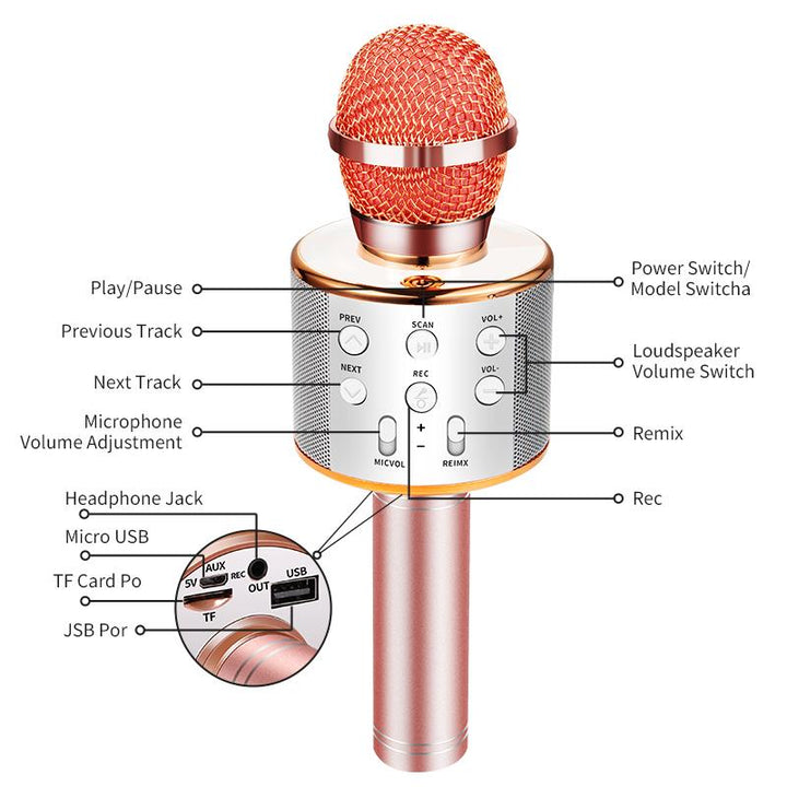 Nolae - Bluetooth Karaoke Mikrofon | Luvikno