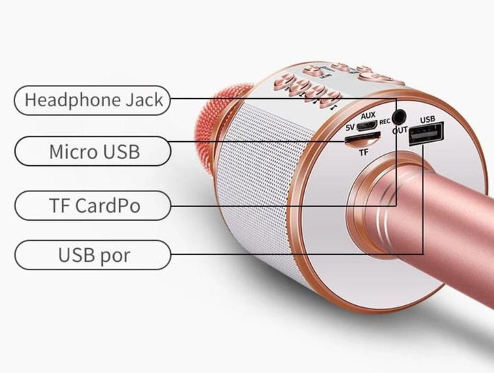Nolae - Bluetooth Karaoke Mikrofon | Luvikno