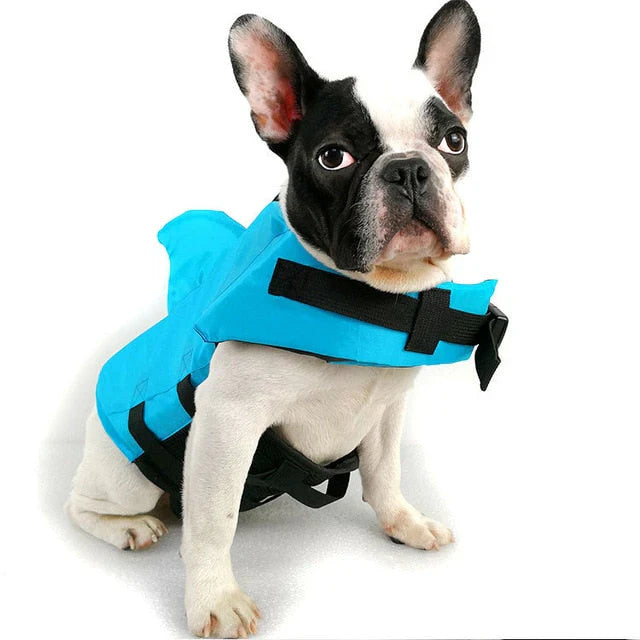 Sikkert svømmemoro for hunden din – SwimBuddy redningsvest Luvikno