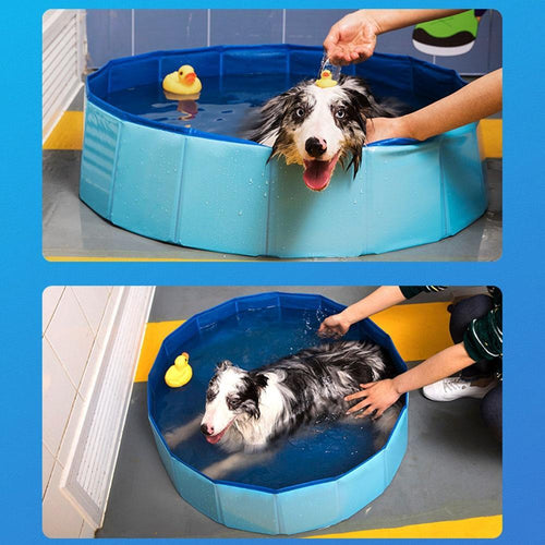 Bærbar Paw Pool | Luvikno