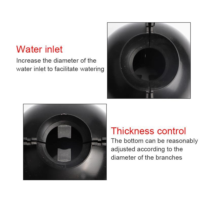 Plante Rot Vekst Boks (5 PCS) | Luvikno