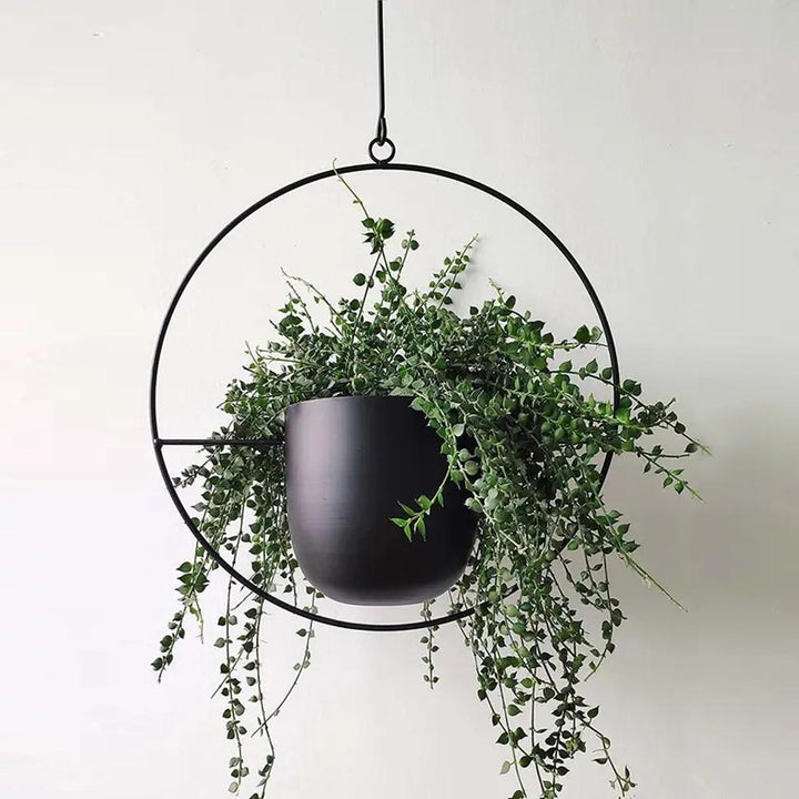 Luvikno | FloraFrame – Elegant Metallplanteholder for Vegg eller Tak