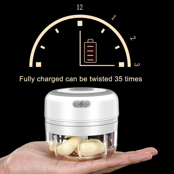 Mini Electric Food Chopper | Luvikno