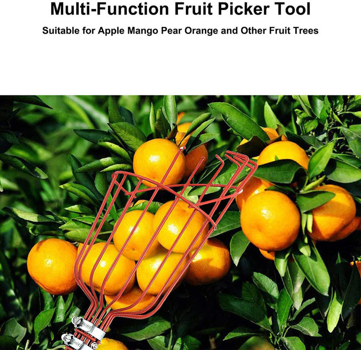 High Branch Fruit Picker | Luvikno