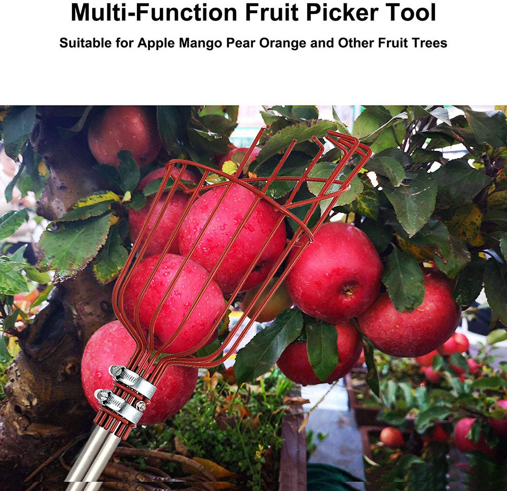 High Branch Fruit Picker | Luvikno
