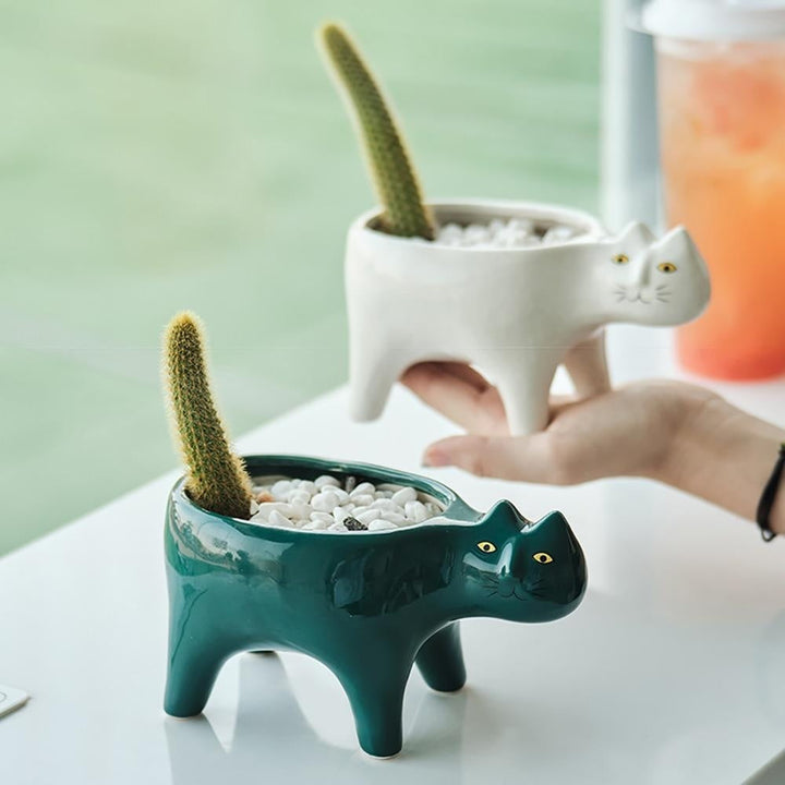 Kat Pot | Luvikno