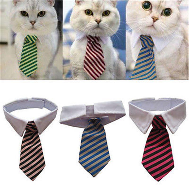 Sugar & Cotton's Famous Pet Neckties | Luvikno