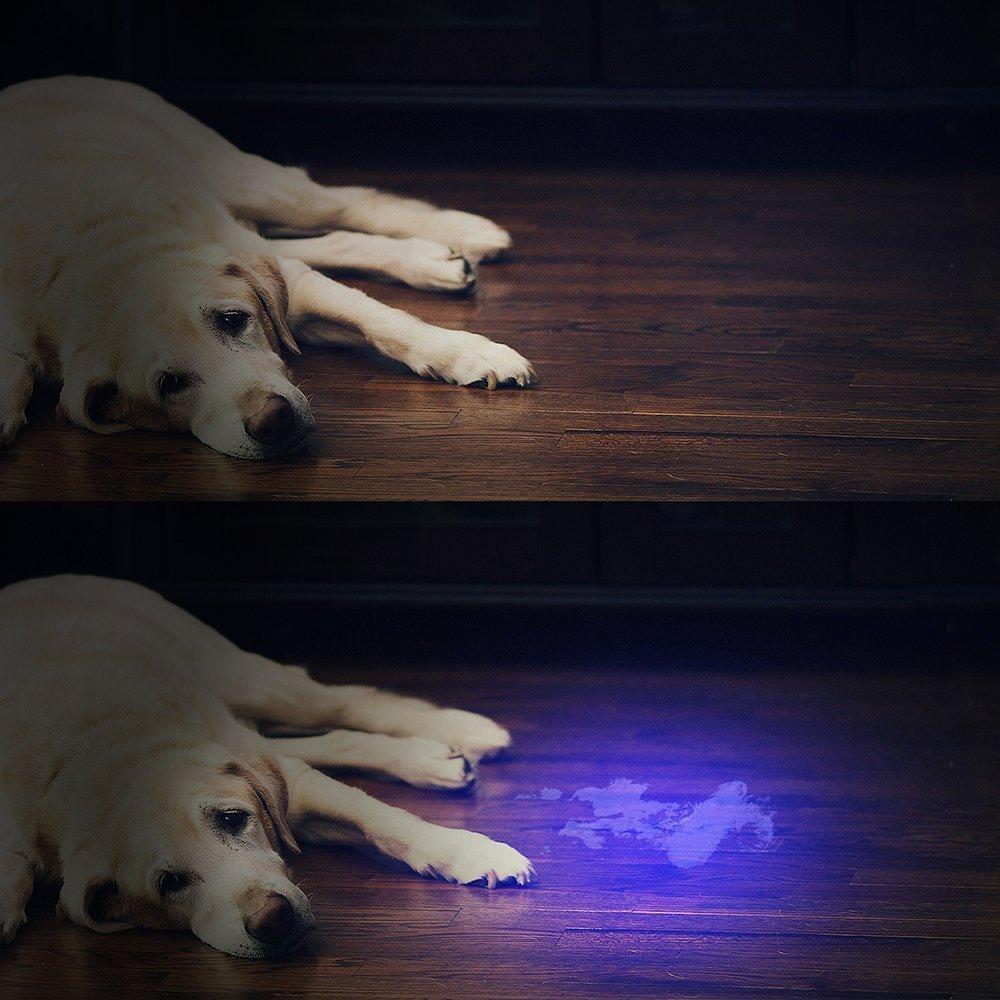 HiLight - LED UV Deteksjons Fakkel | Luvikno
