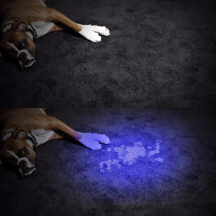 HiLight - LED UV Deteksjons Fakkel | Luvikno