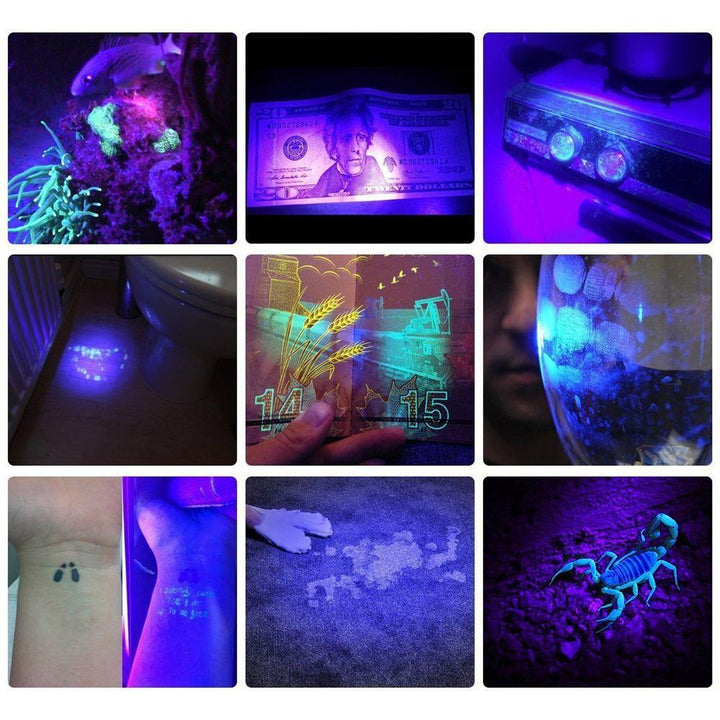 HiLight - LED UV Deteksjons Fakkel | Luvikno