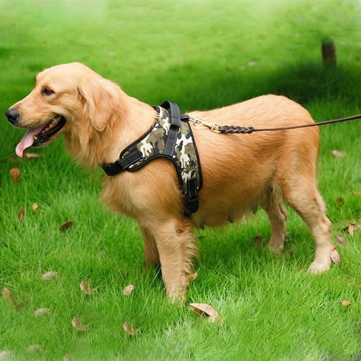 Justerbar Hundeforings sele | Luvikno