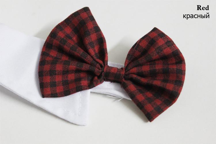 Dapper Pet Slips - For Katter & Hunder | Luvikno