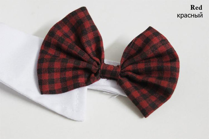 Dapper Pet Slips - For Katter & Hunder | Luvikno
