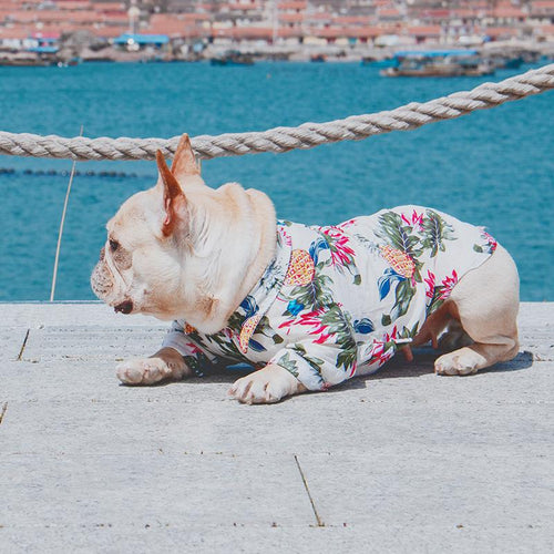 Frenchie Sommer Skjorte | Luvikno