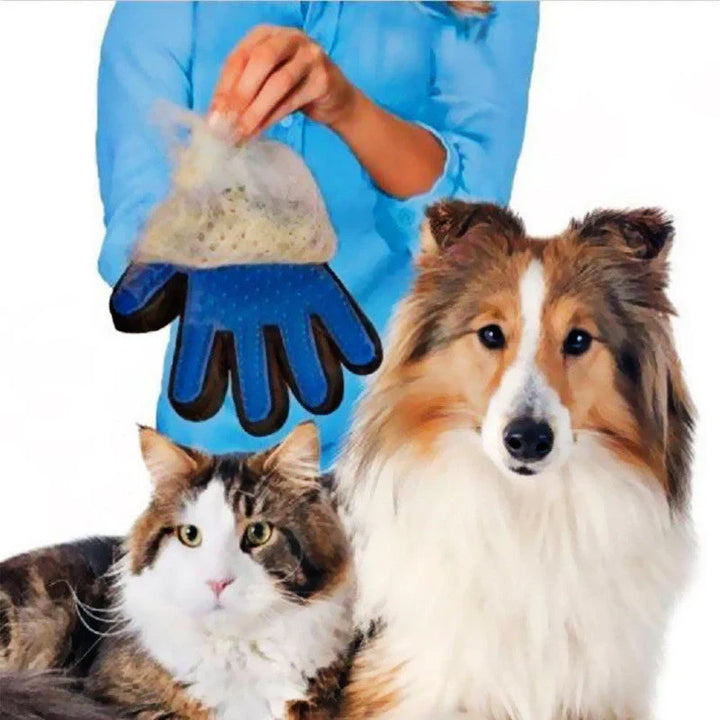 Pet Grooming Glove – FurEase Luvikno