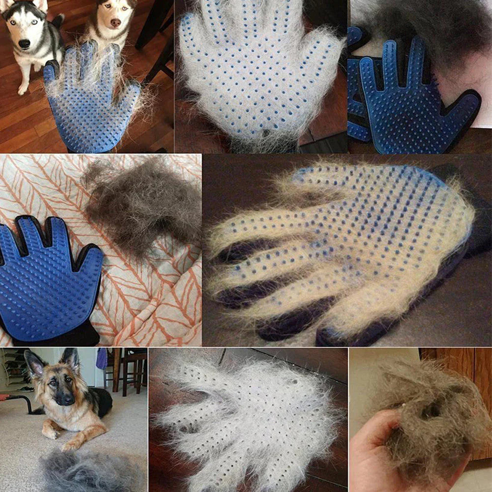Pet Grooming Glove – FurEase Luvikno