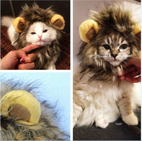 Royal Cat Mane – FelineKing Luvikno