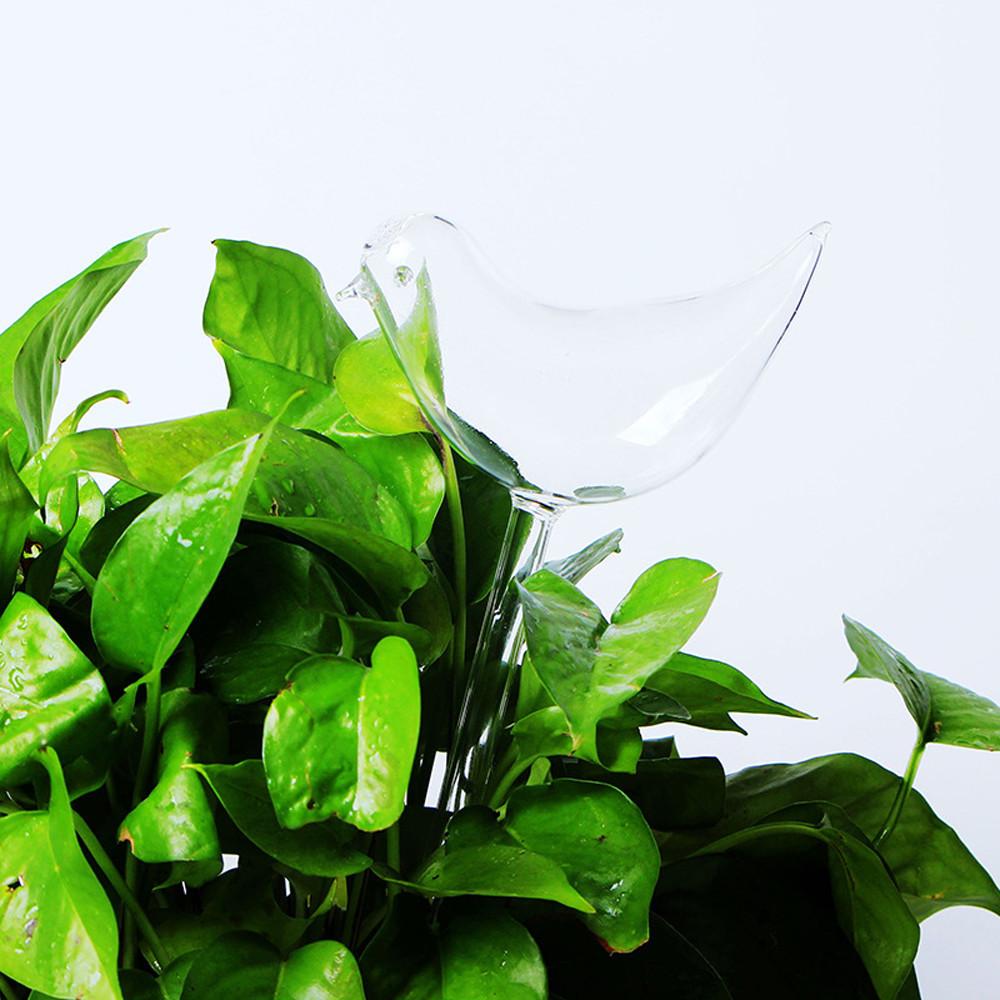 Ave - Automatisk Vann Drypp Fugleplante | Luvikno