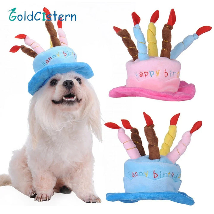 Pet Birthday Hat – PartyPaws Luvikno
