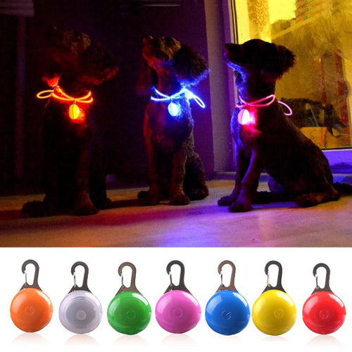 LED Flash Hundehalsbånd Pendant | Luvikno