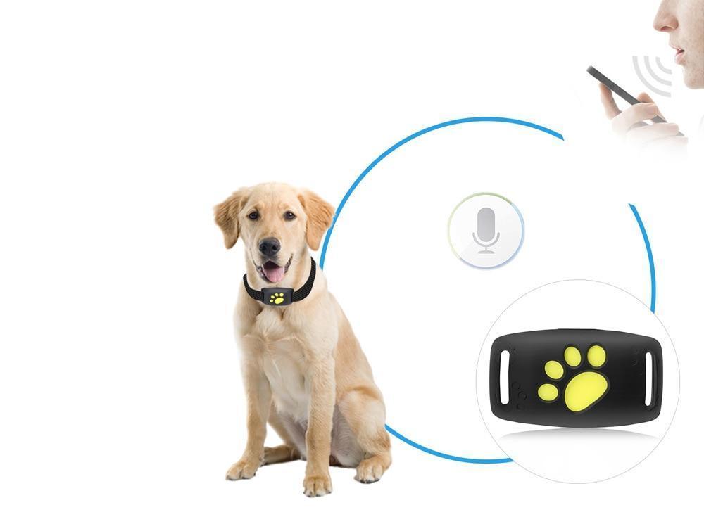 Luvikno | Trackcat - Sanntids GPS kattetracker halsbånd med pålitelig satellittsporing