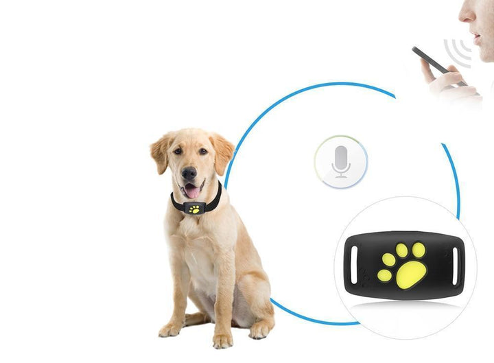Luvikno | Trackcat - Sanntids GPS kattetracker halsbånd med pålitelig satellittsporing