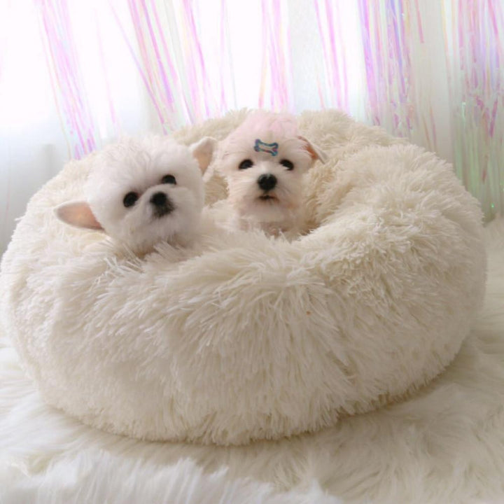 Mini - Rund P fluffy Plush Kattested | Luvikno