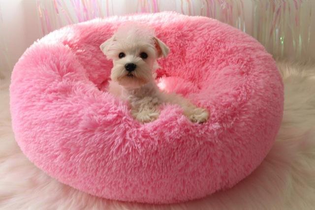 Mini - Rund P fluffy Plush Kattested | Luvikno