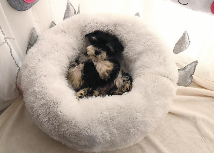 Mini - Rund P fluffy Plush Kattested | Luvikno