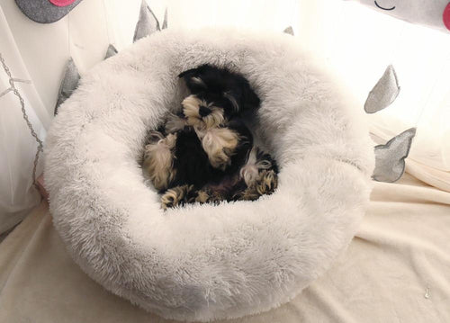 Mini - Rund P fluffy Plush Kattested | Luvikno